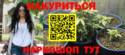прущие крисы Ипатово