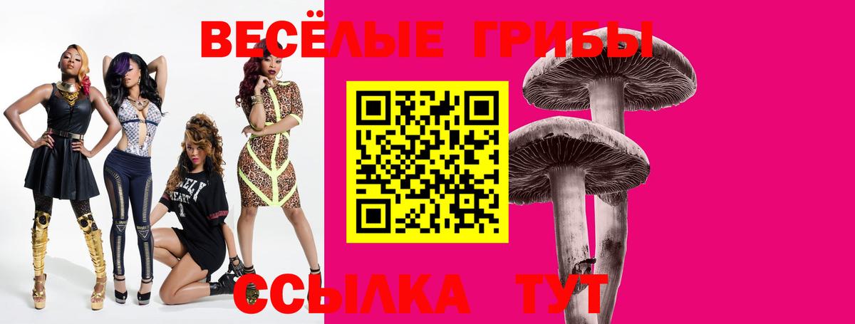 где купить наркоту  Псилоцибиновые грибы GOLDEN TEACHER  Вход с VPN  Краснокаменск 